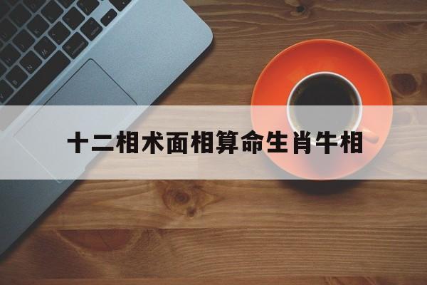 十二相术面相算命生肖牛相,十二相术面相算命生肖牛相克吗