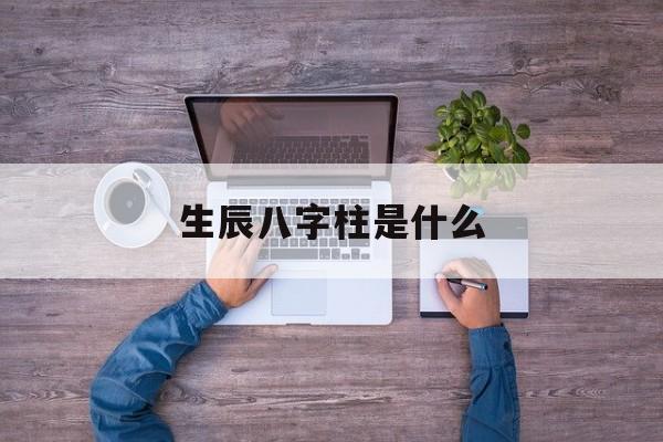 生辰八字柱是什么,生辰八字柱是什么意思