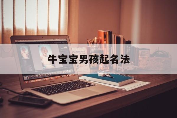 牛宝宝男孩起名法,牛宝宝男孩起名法则是什么