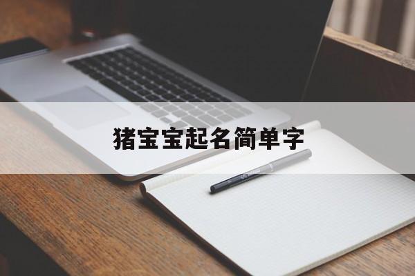 猪宝宝起名简单字,2020猪宝宝取名字大全