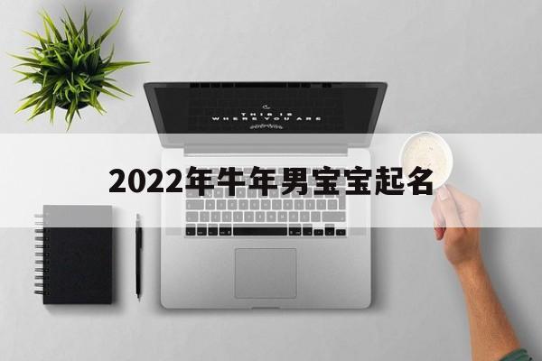 2022年牛年男宝宝起名,2021年牛年男宝宝取名字