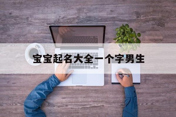 宝宝起名大全一个字男生,宝宝起名大全一个字男生两字