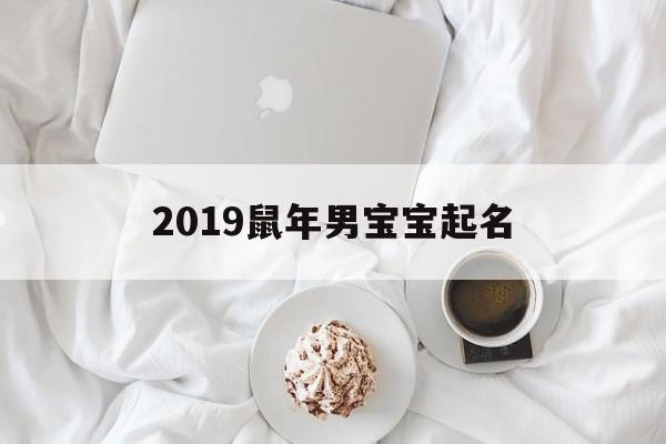 2019鼠年男宝宝起名,2019鼠年男宝宝起名怎么样