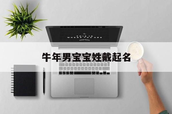 牛年男宝宝姓戴起名,戴姓男孩名字属牛