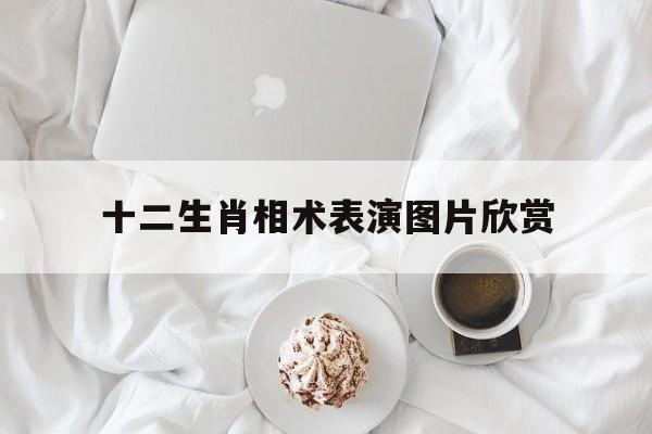 十二生肖相术表演图片欣赏,十二生肖相的故事